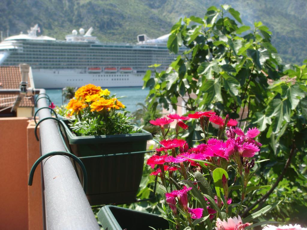 Apartments Martiva Kotor Pokój zdjęcie