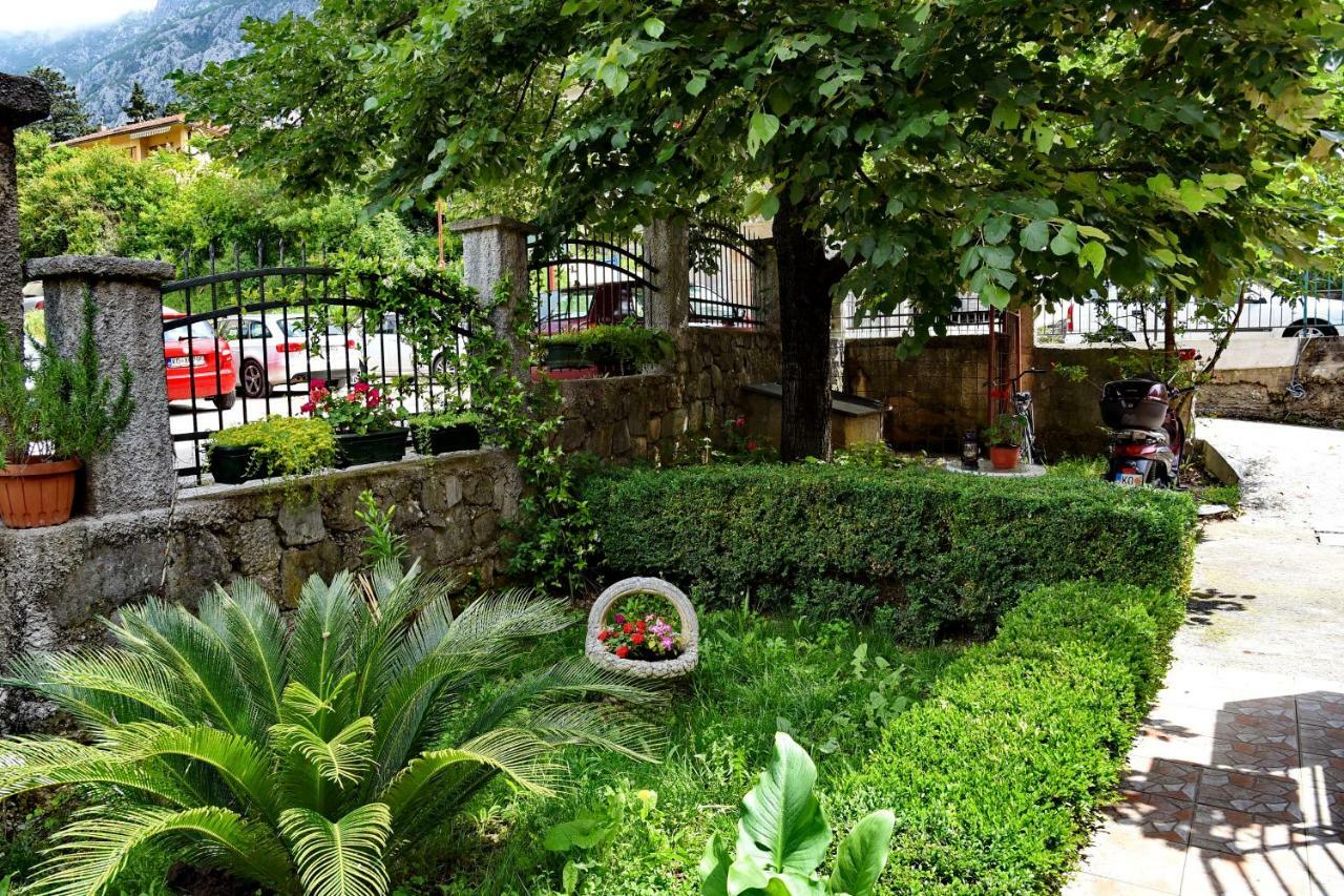 Apartments Martiva Kotor Zewnętrze zdjęcie